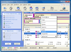 Choose Partition to Format