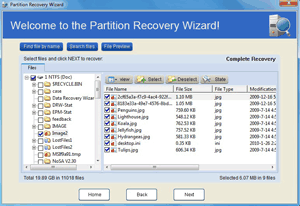 All files and folders listed