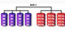 RAID2
