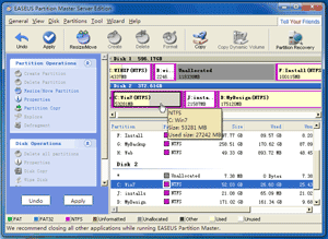 Resize Windows Server 2008 partitions