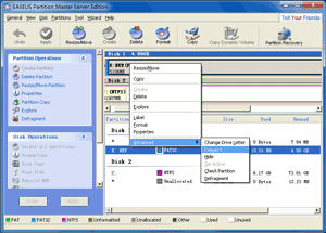 EASEUS Partition Master Server Edition - Partition RAID