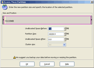 Partition Resize Wizard in EASEUS Partition Master Server Edition
