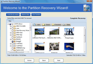 prw-complete-recovery-5-2.gif